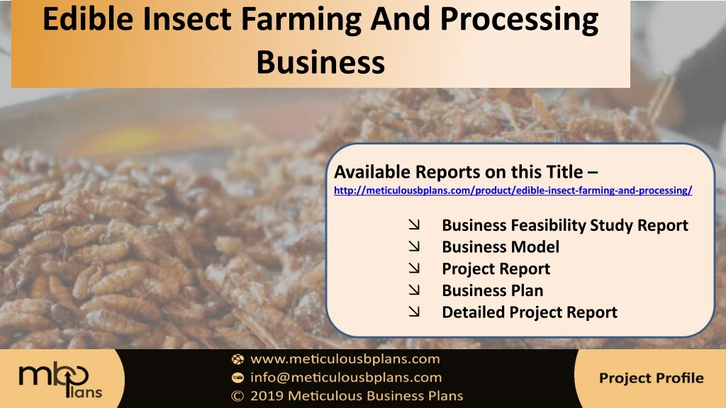 edible insect farming and processing business
