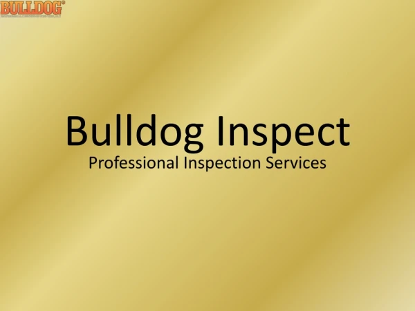 Professional Home Inspection Services