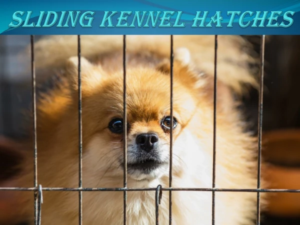 Sliding Kennel Hatches | Sliding Kennel Doors