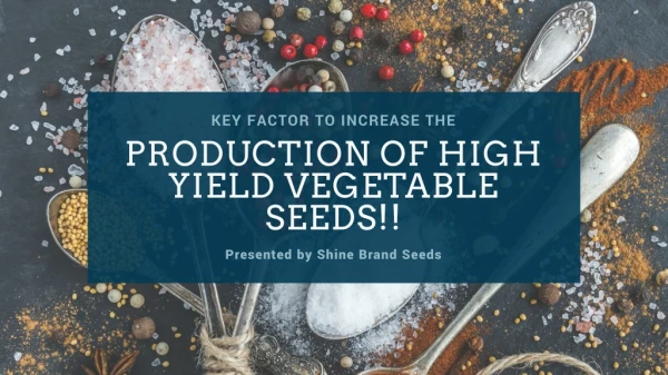Key Factor To Increase The Production Of High Yield Vegetable Seeds!!