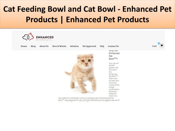 cat feeding bowl and cat bowl enhanced pet products enhanced pet products