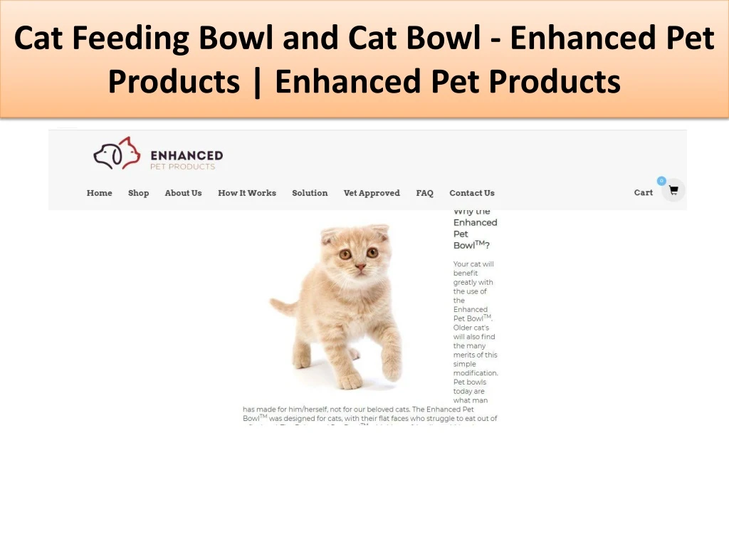 cat feeding bowl and cat bowl enhanced pet products enhanced pet products