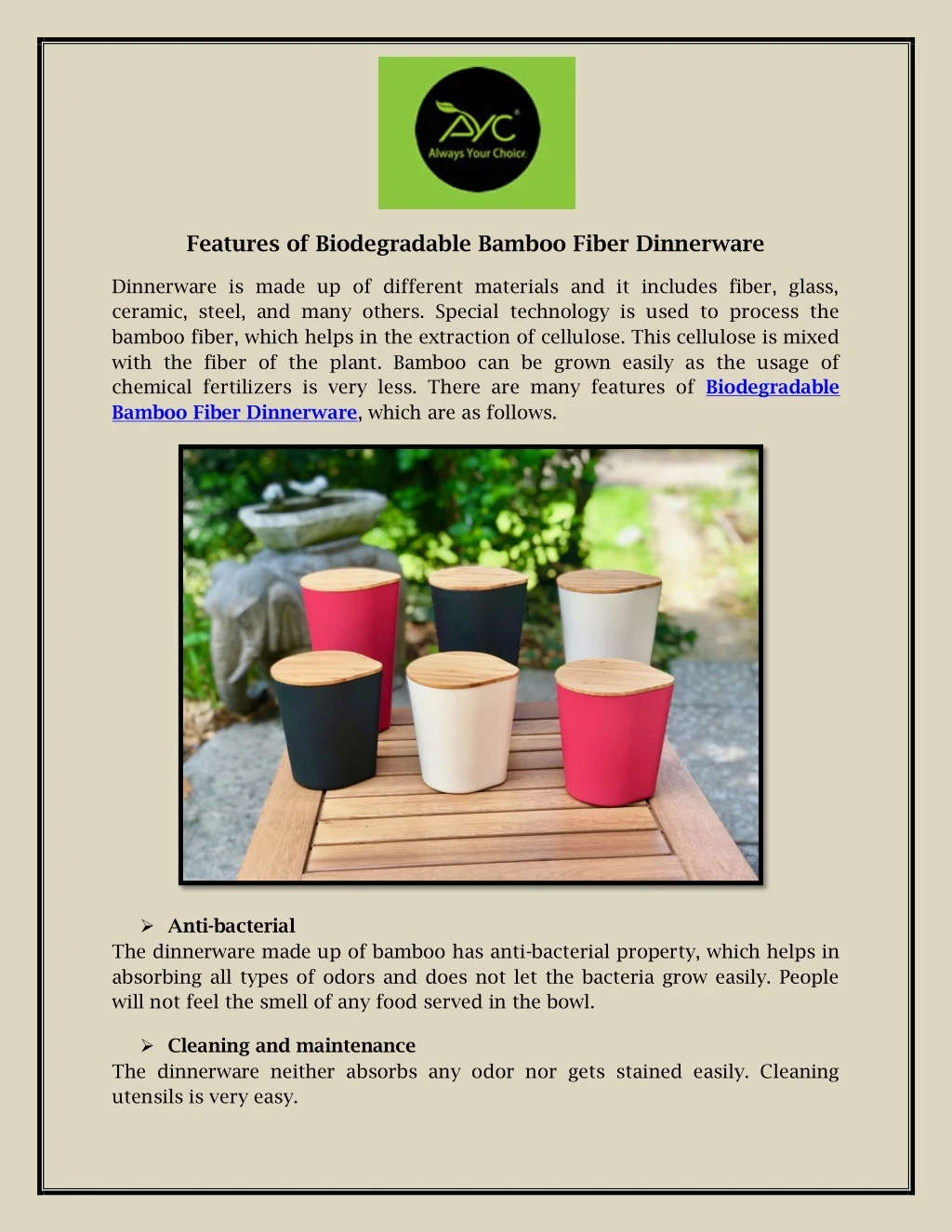 features of biodegradable bamboo fiber dinnerware