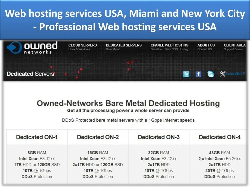 web hosting services usa miami and new york city professional web hosting services usa