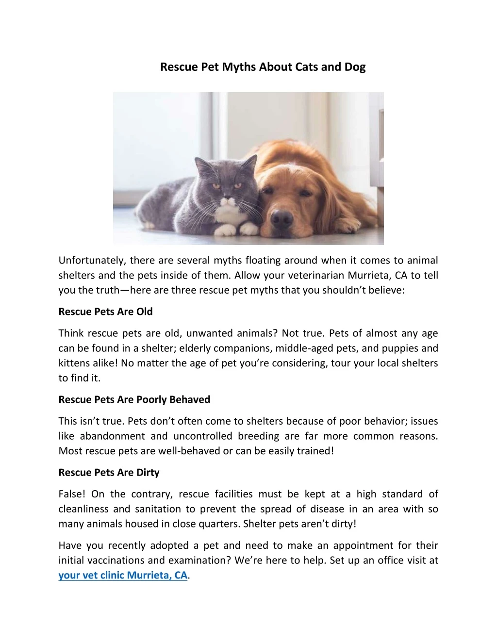 rescue pet myths about cats and dog