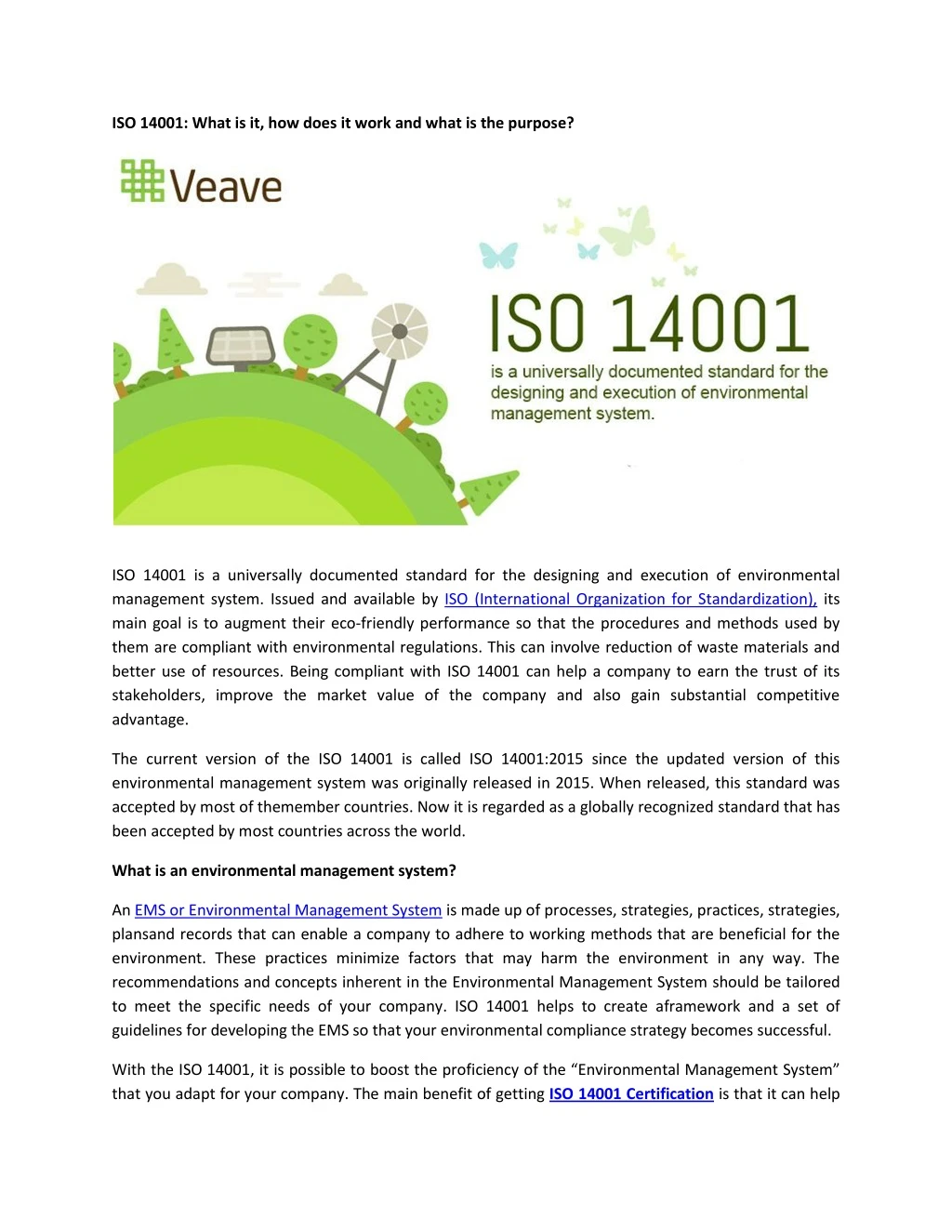 iso 14001 what is it how does it work and what