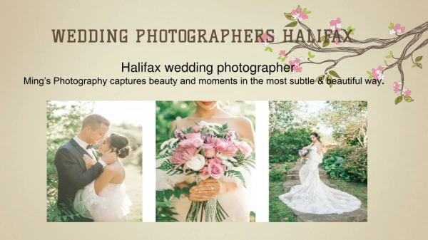 Wedding Photographers Halifax