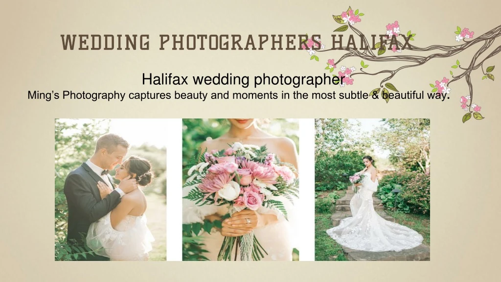 wedding photographers halifax