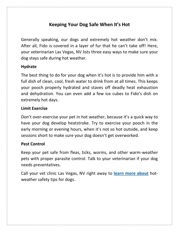 keeping your dog safe when it s hot