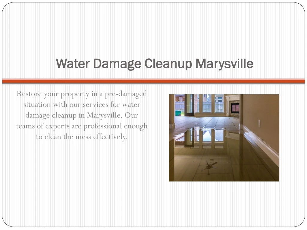 water damage cleanup marysville