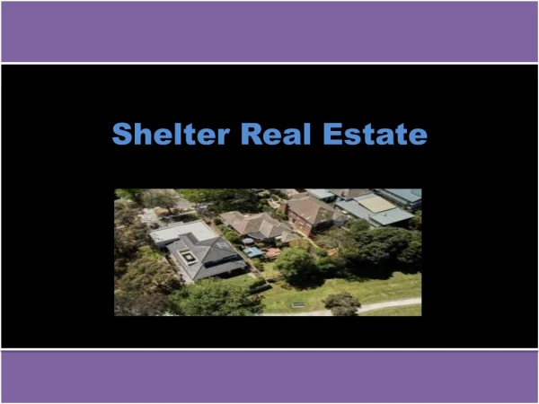 Glen Iris Real Estate Agents | Shelter Real Estate