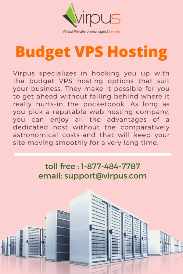 budget vps hosting