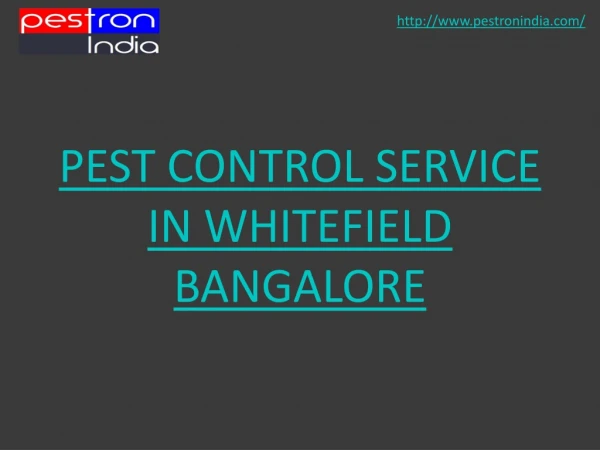Pest Control Services in Whitefield Bangalore