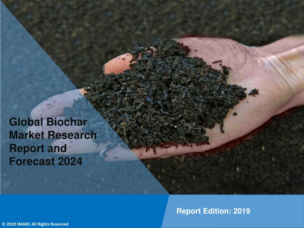 global biochar market research report
