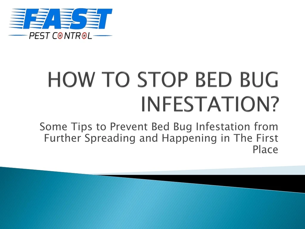 how to stop bed bug infestation