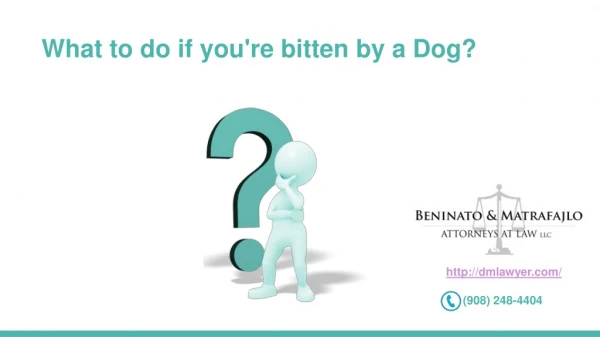 what to do if you re bitten by a dog