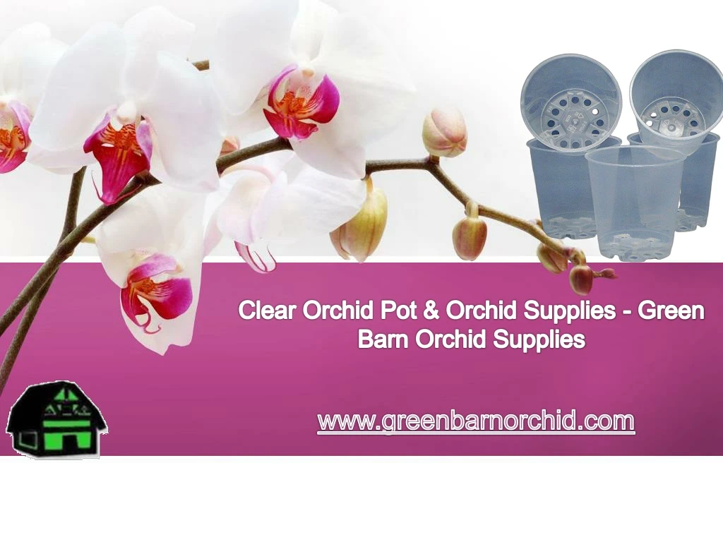 clear orchid pot orchid supplies green barn
