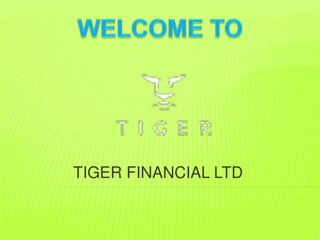 tiger financial ltd