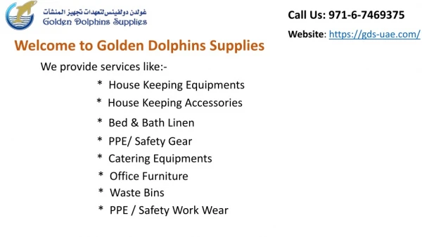 Golden Dolphins Supplies