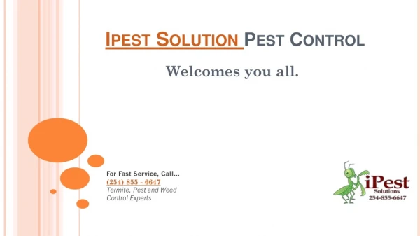 commercial pest control spring | rodent control bellmead