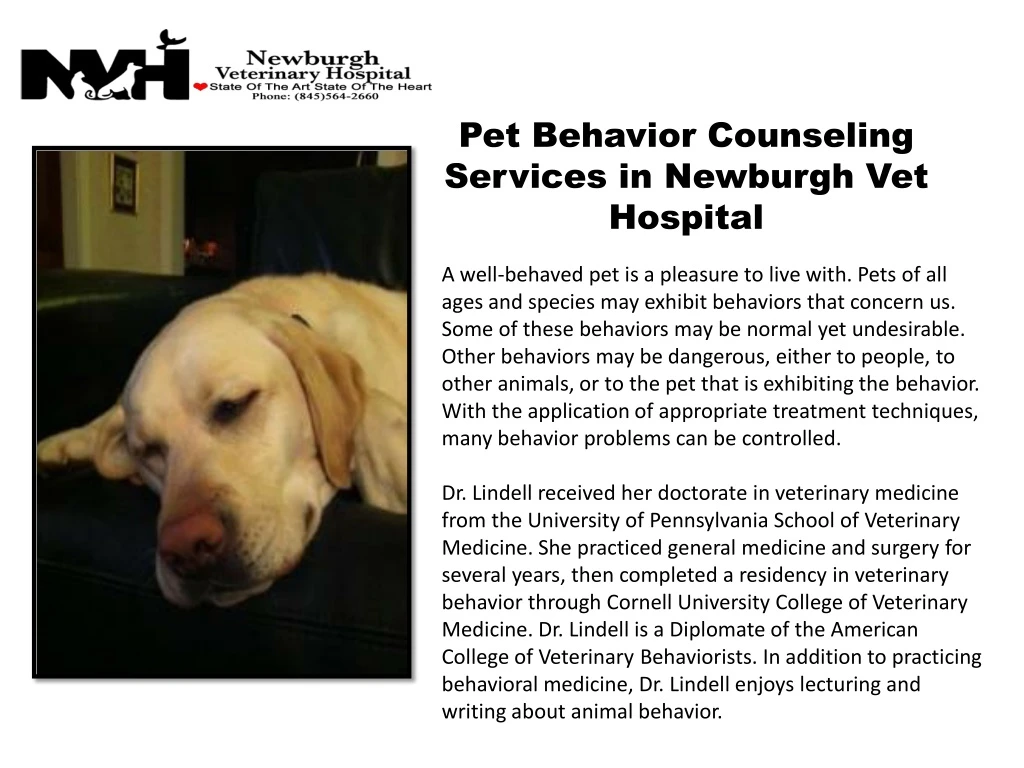 pet behavior counseling services in newburgh