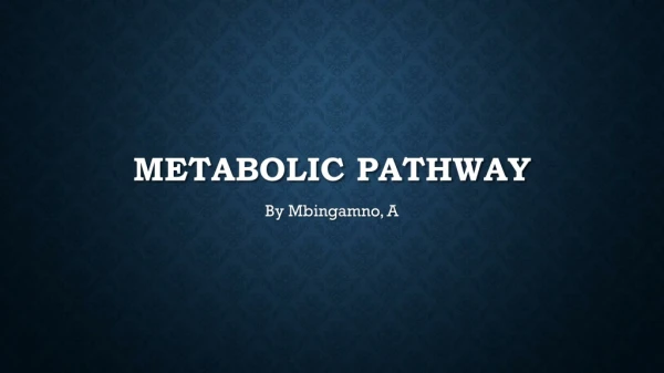 Metabolic pathway By Noah Philemon