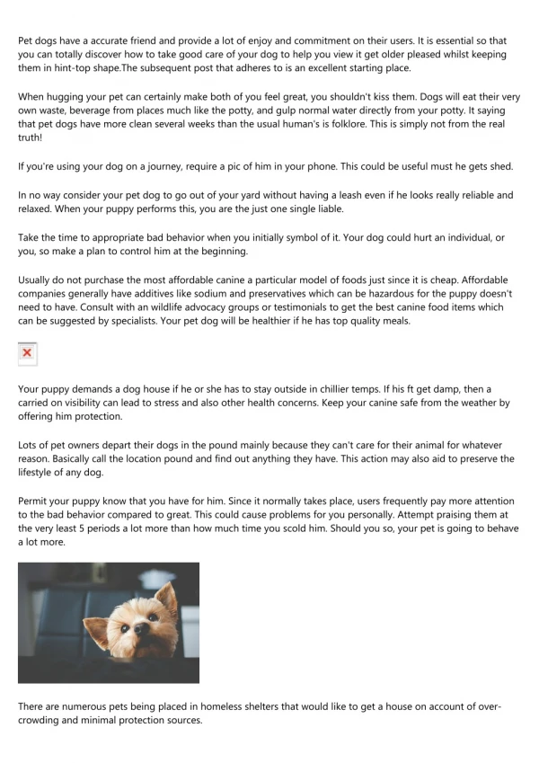 pet dogs have a accurate friend and provide