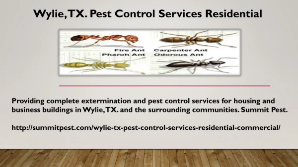 Wylie, TX. Pest Control Services Residential