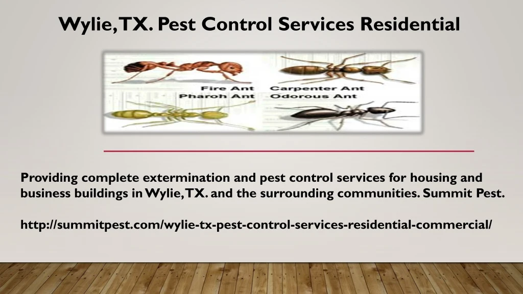 wylie tx pest control services residential