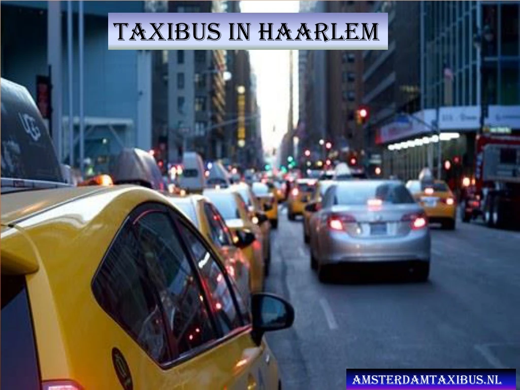 taxibus in haarlem