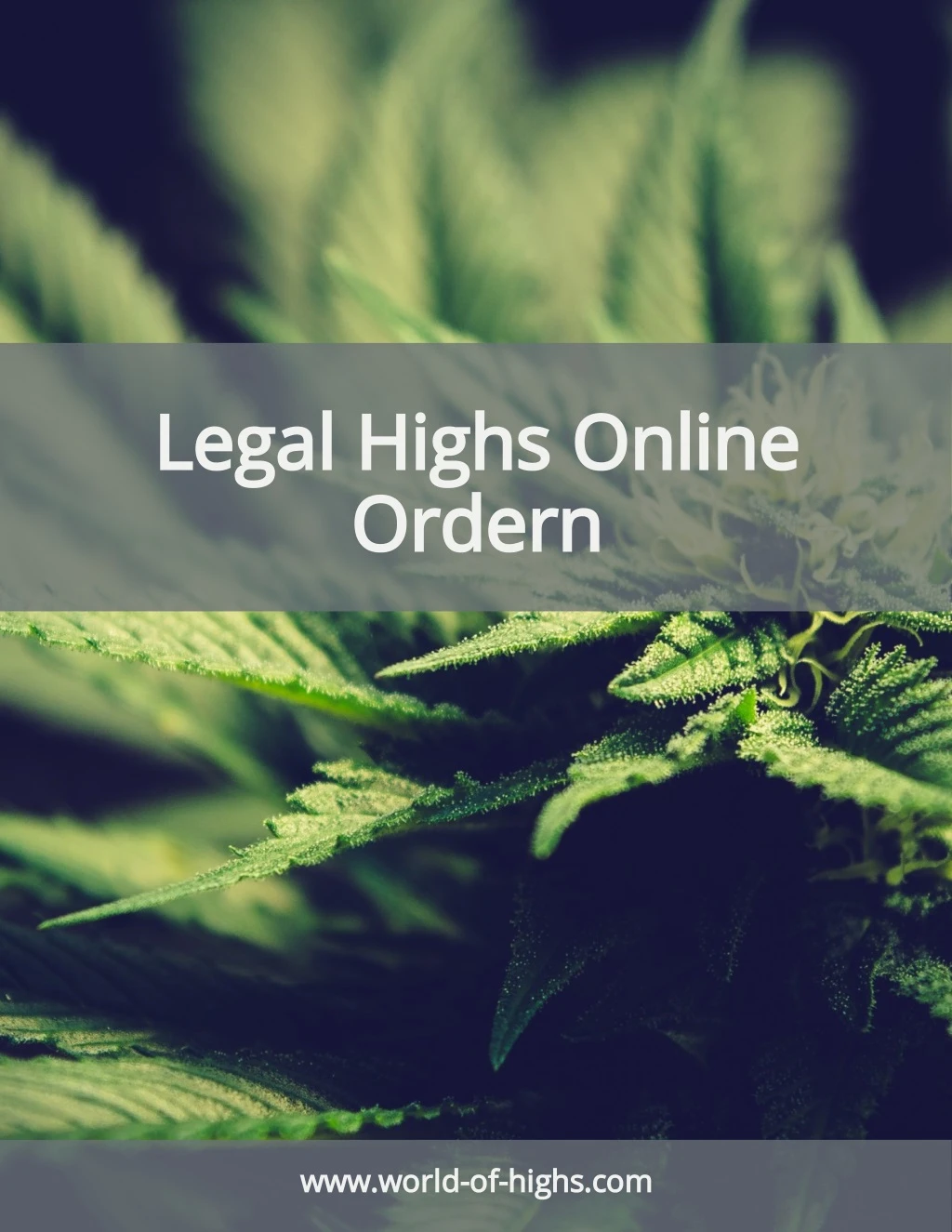 legal highs online ordern