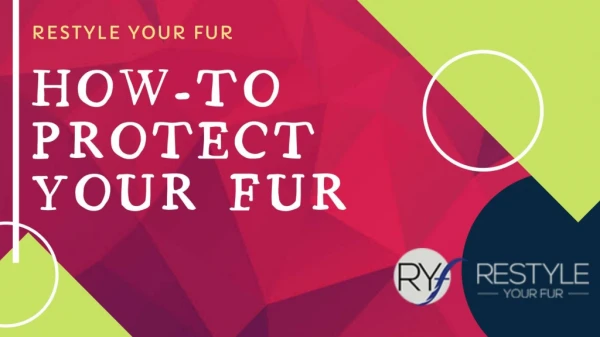 Steps How To Protect Your Fur In Summer | Restyle Your Fur