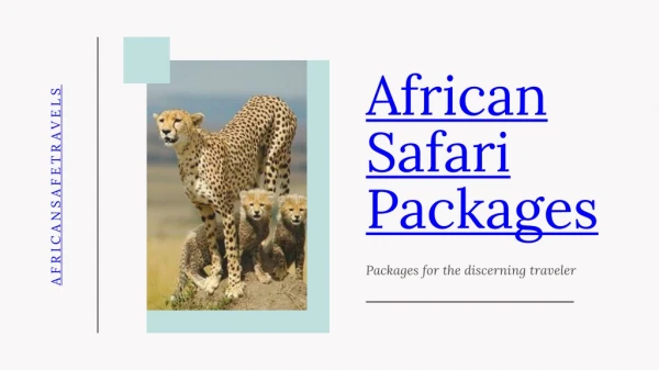 African safe trips packages at the cheapest prices