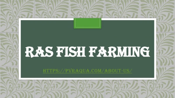 ras fish farming