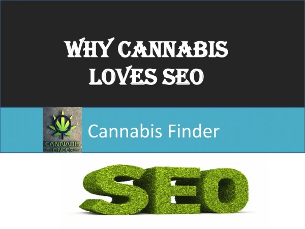 Cannabis SEO Service - Cannabis Finder