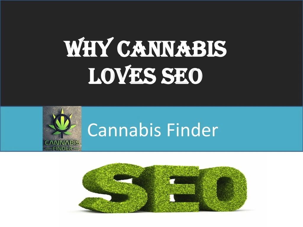 why cannabis loves seo