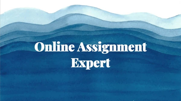online assignment expert