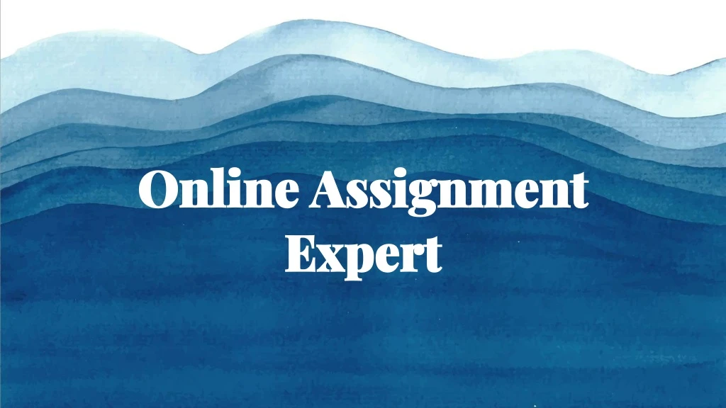 online assignment expert