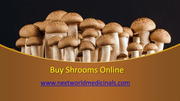 Buy Shrooms Online - nextworldmedicinals
