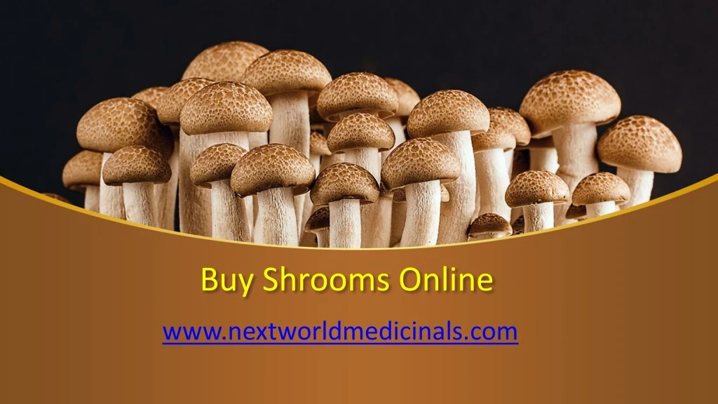 buy shrooms online
