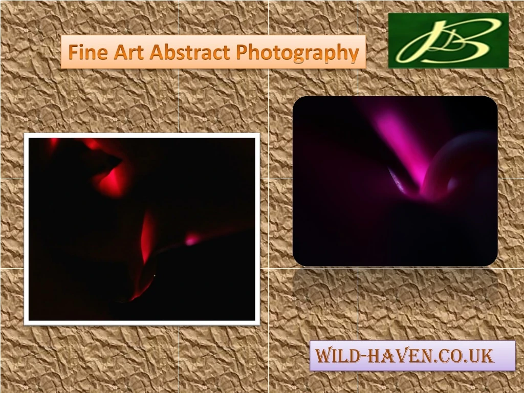 fine art abstract photography
