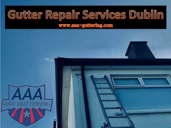 Gutter Repair Services Dublin
