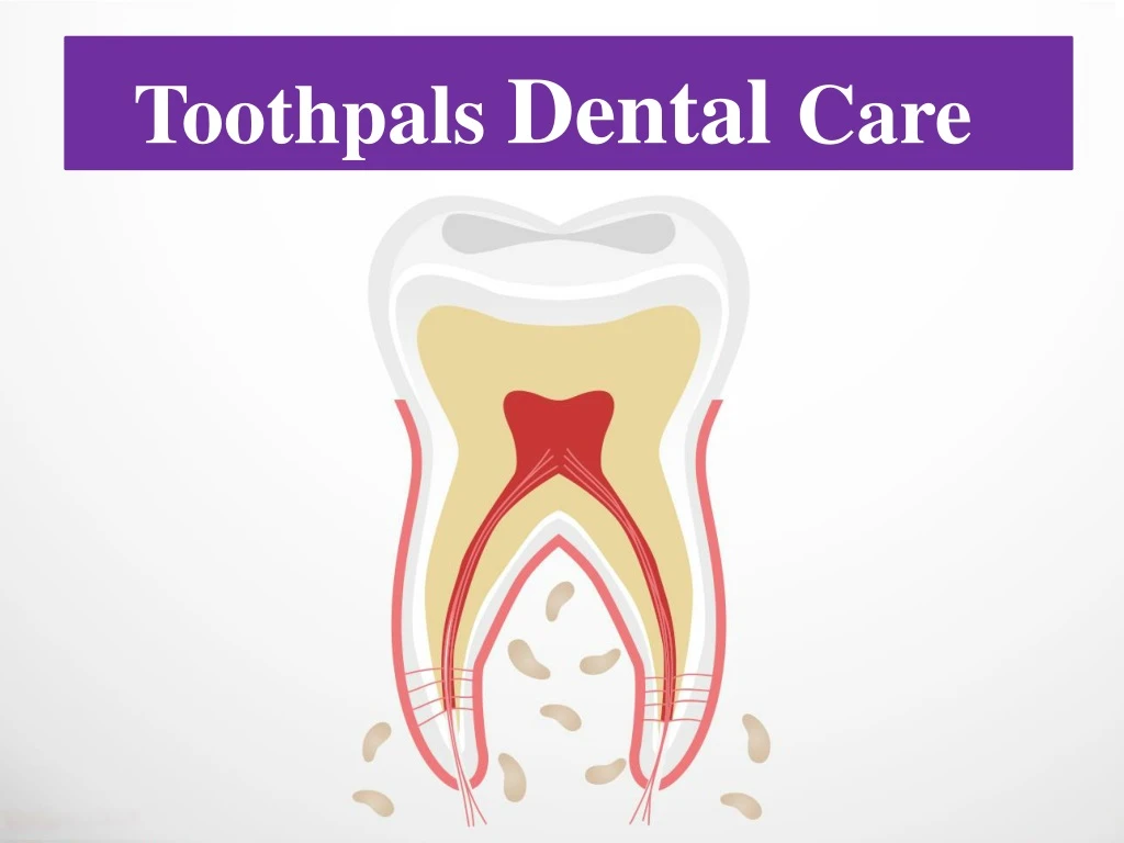 toothpals dental care