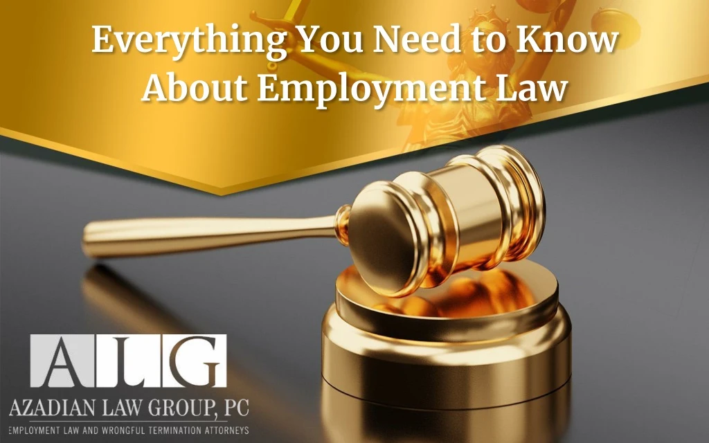 everything you need to know about employment law