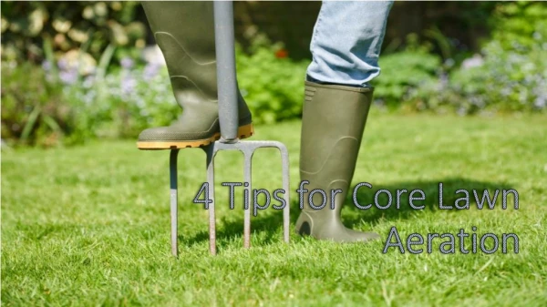 4 Tips for Core Lawn Aeration