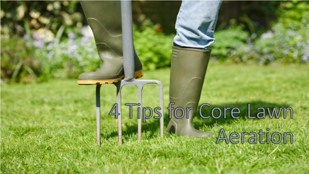 4 tips for core lawn aeration