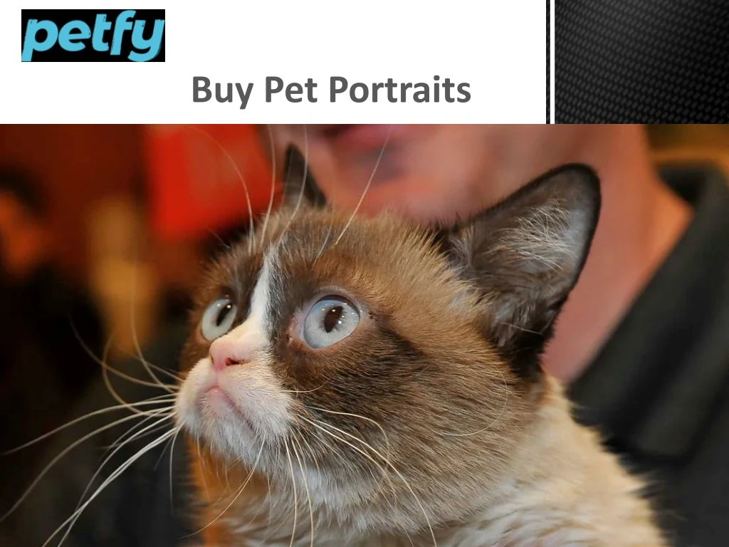 buy pet portraits
