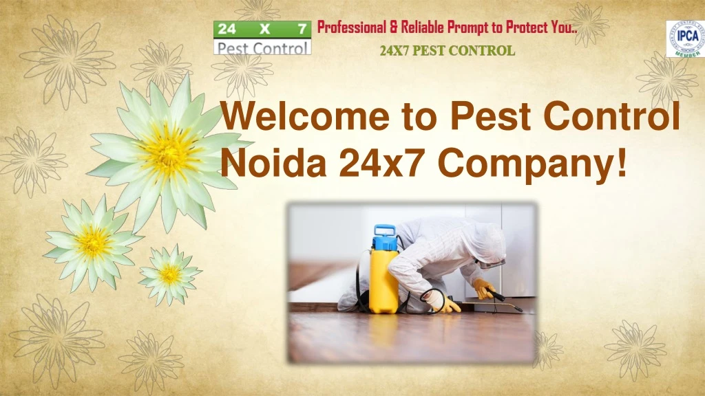 welcome to pest control noida 24x7 company