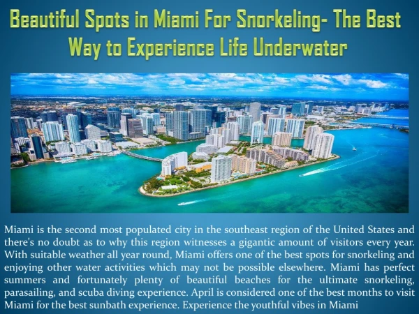 Beautiful Spots in Miami For Snorkeling- The Best Way to Experience Life Underwater
