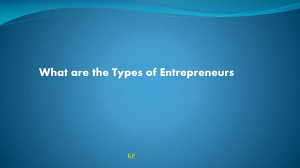 what are the types of entrepreneurs